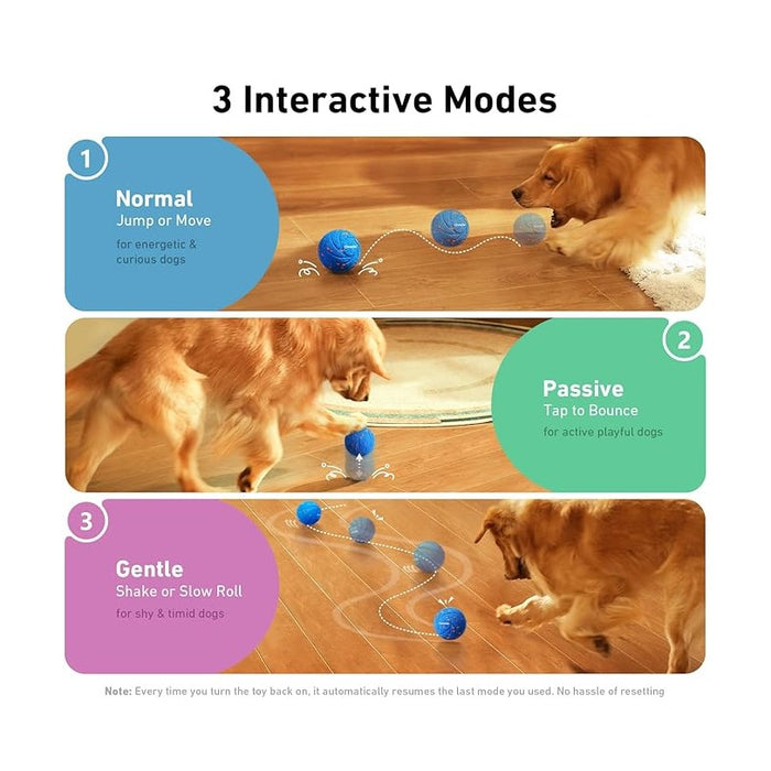 Interactive Dog Toy Ball for Active Play