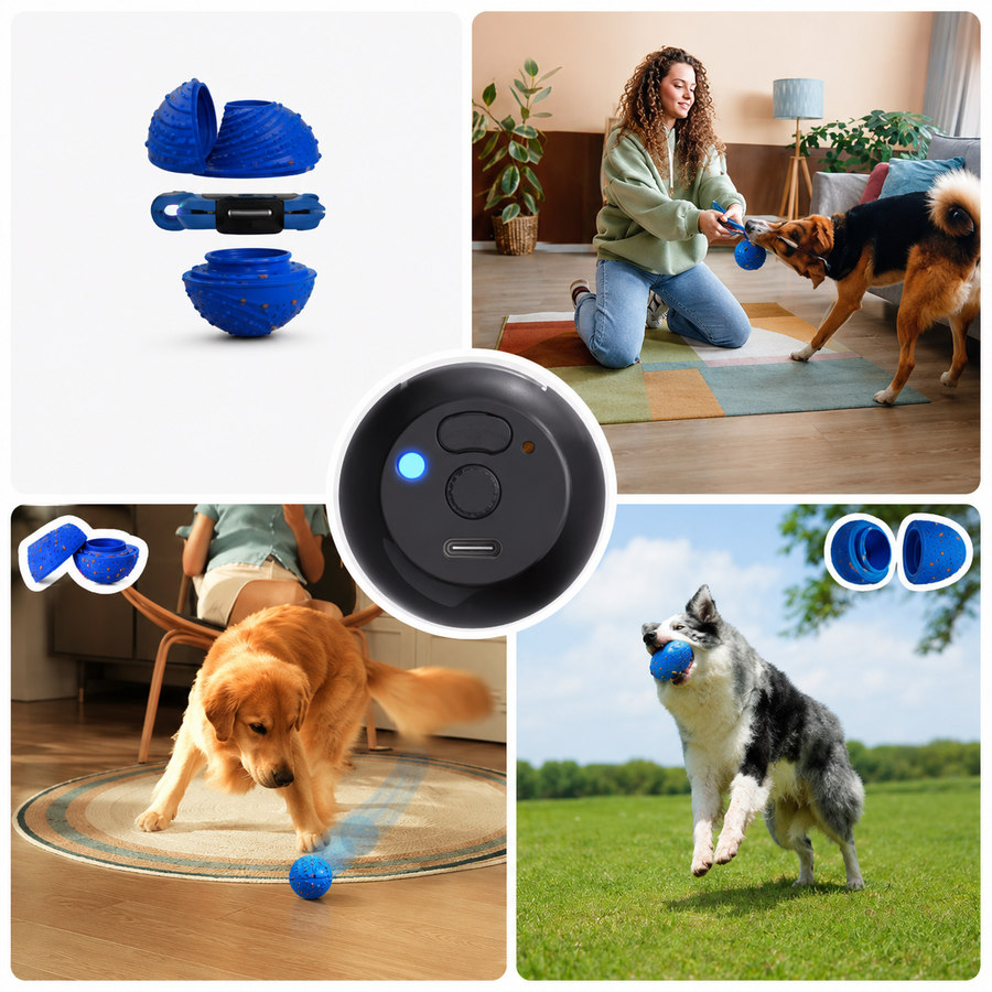 Interactive Ball Fun for Active Dogs