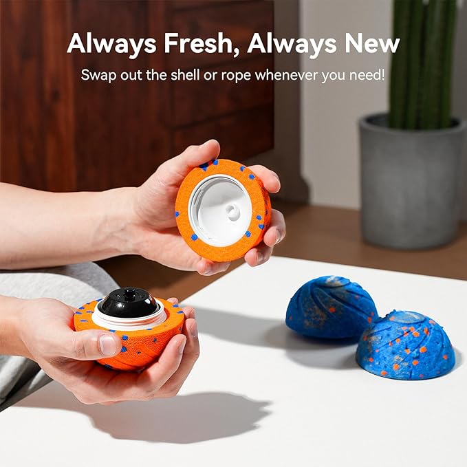 Interactive Dog Toy Ball for Active Play
