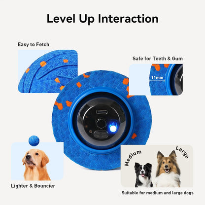 Interactive Dog Toy Ball for Active Play